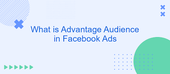 What is Advantage+ Audience