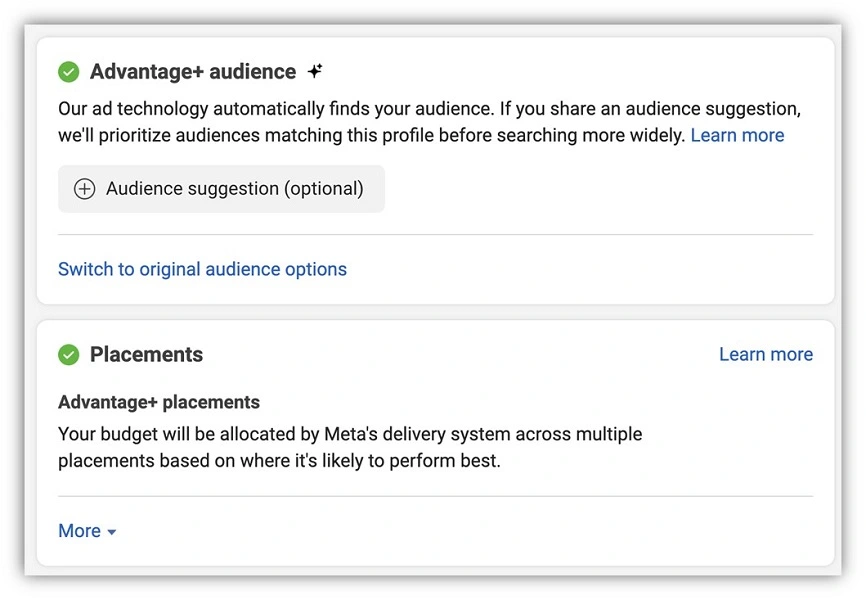 Cons of Advantage+ Audience