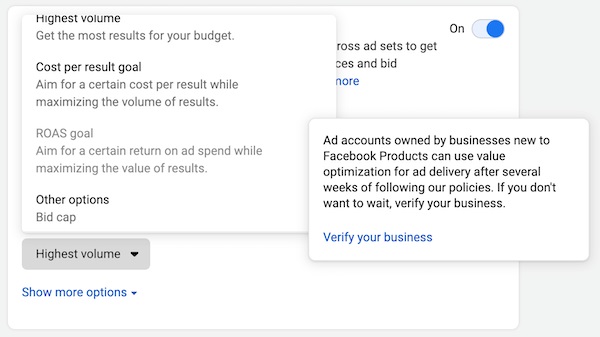 Facebook Bidding Strategies- ROAS Goal